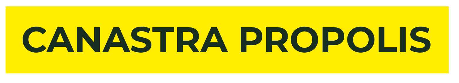 Portal Canastra Própolis
